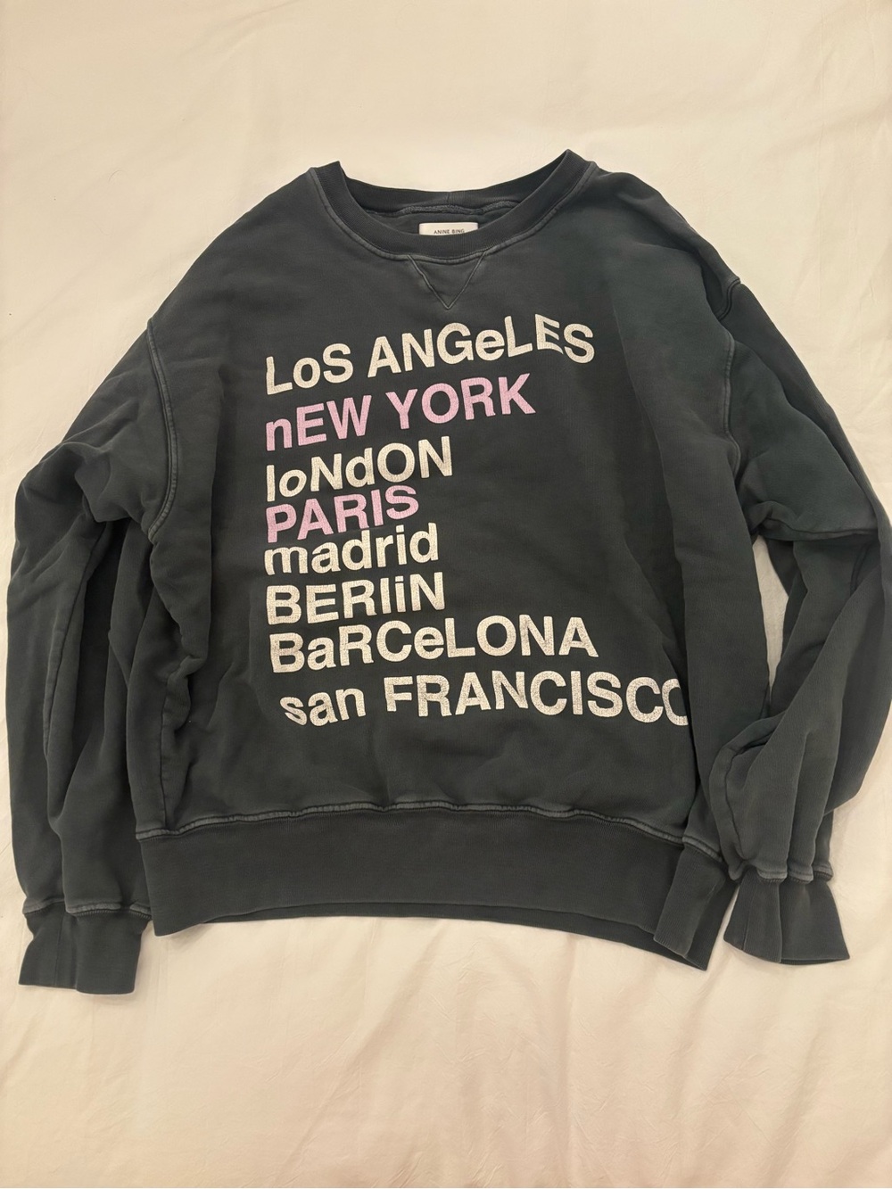 Anine Bing Washed Black Crewneck with Pink & Cream City Print